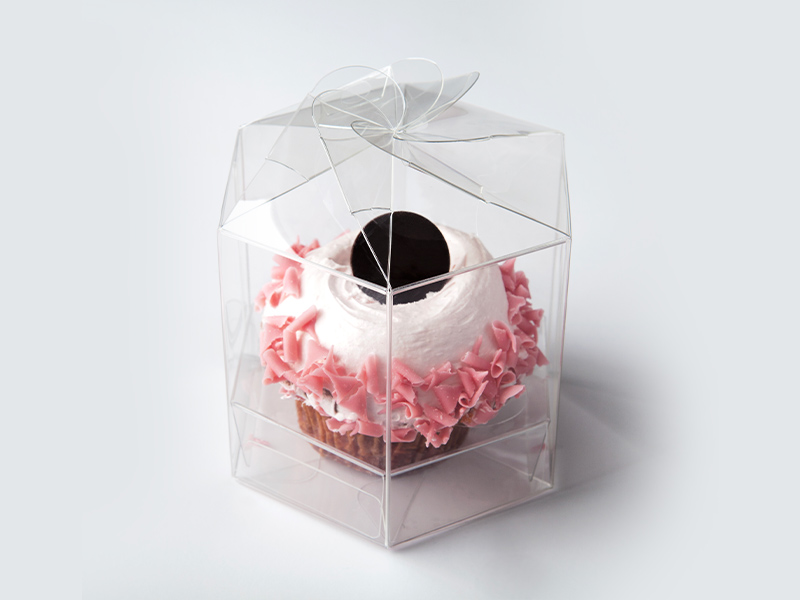 Cupcake-in-scatola-di-plastica-Exten